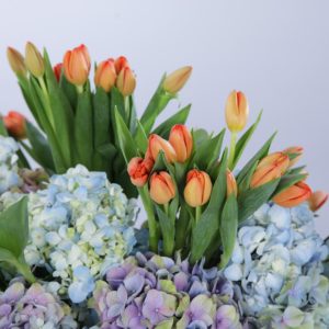 Radiant and Pale Duo flower box by Black Tulip Flowers
