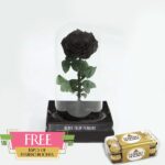 Single Black Forever Rose 16 pcs