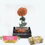 Single Cappucino Forever Rose 16PCS