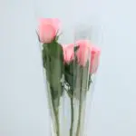 01 - 019