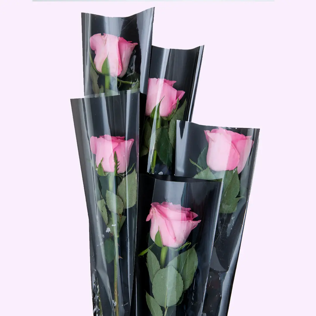 Single sales rose delivery