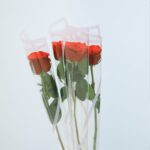 04 - 015
