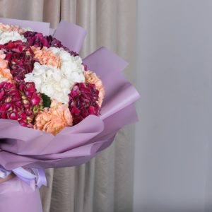 Aesthetic Hydrangeas