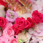 Auspicious Crescent (3)