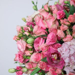 Delightful Blooms