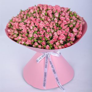 Enticing Pink Spray Rose