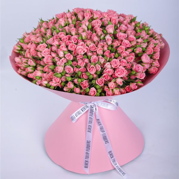 Enticing Pink Spray Rose