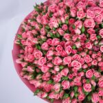 Enticing Pink Spray Rose Bouquet (4)