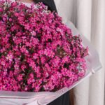 Gorgeous Wax Flower Bouquet (3)