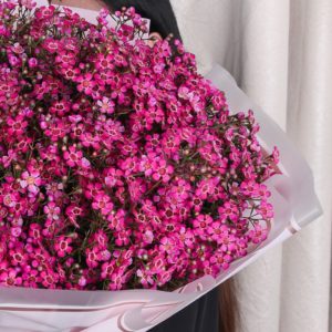 Gorgeous Wax Flower Bouquet