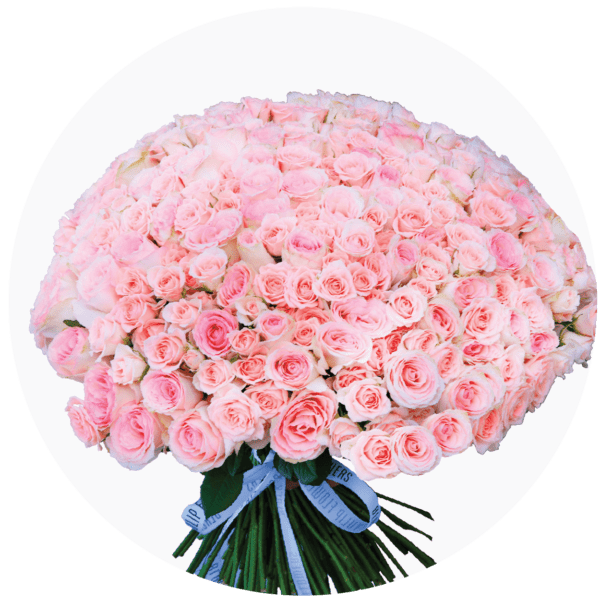 Large Bouquet Collection min