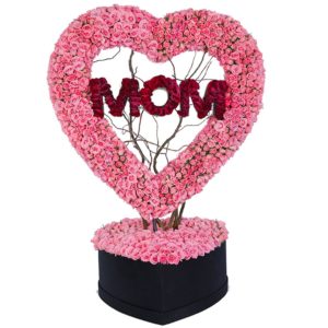 MOM My Heart