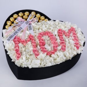 MOM's Heart