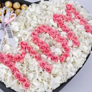 MOM's Heart