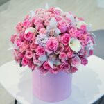The Pink Shades (1)