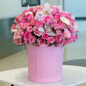 The Pink Shades