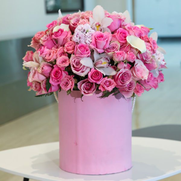 The Pink Shades