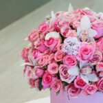 The Pink Shades (3)