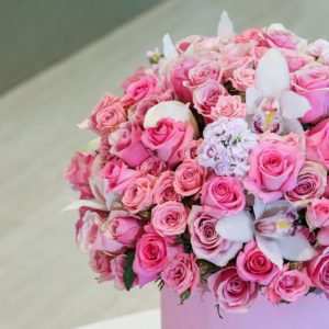 The Pink Shades