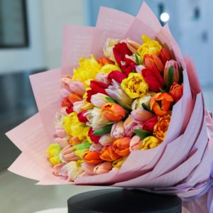 Tulip Treasure