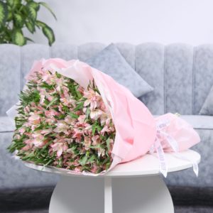Alluring Pink Alstroemerias