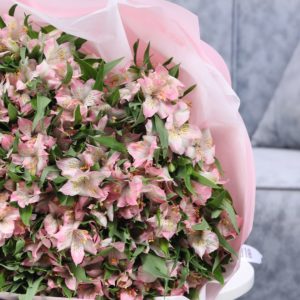 Alluring Pink Alstroemerias