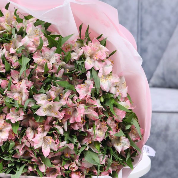 Alluring Pink Alstroemerias