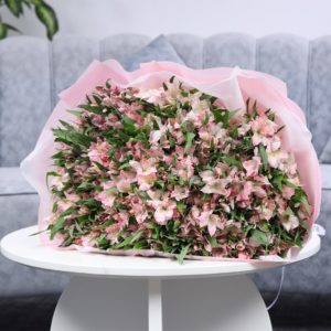 Alluring Pink Alstroemerias