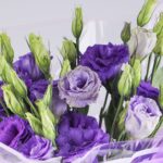 Lisianthus Purple Bouquet (3)