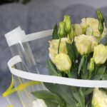 Lisianthus Yellow (2)
