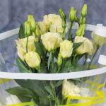 Lisianthus Yellow (3)