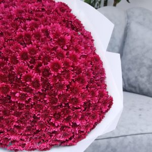 Passionate Chrysanthemum Purple