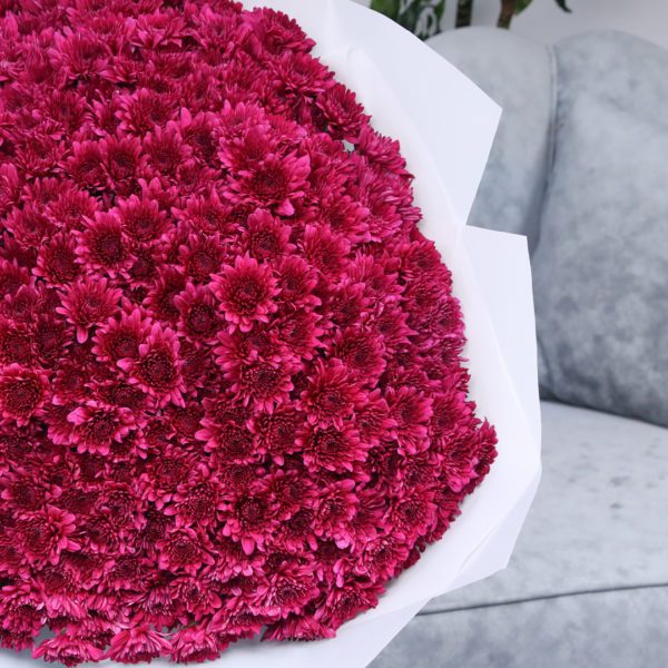 Passionate Chrysanthemum Purple