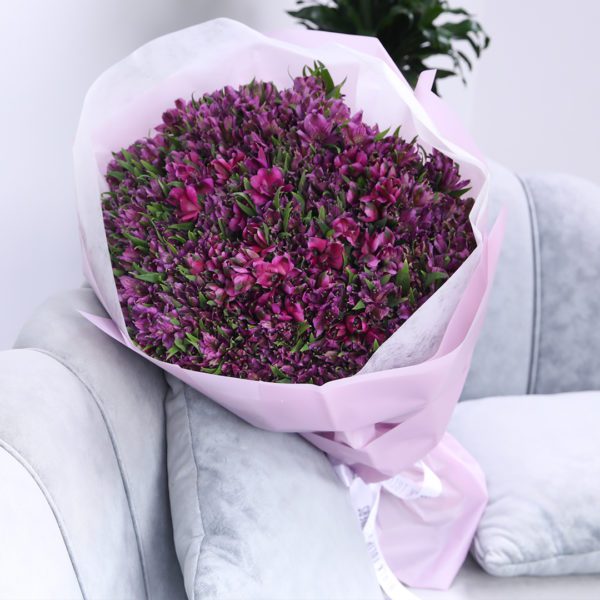 Perfect Purple Alstroemeria 2