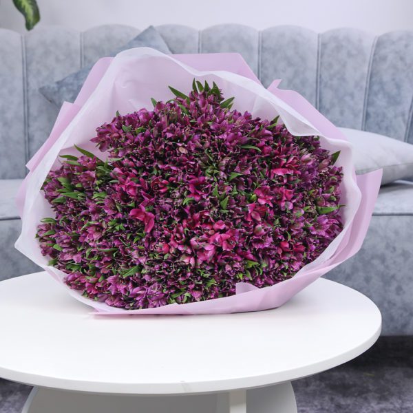 Perfect Purple Alstroemeria 3