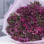 Perfect Purple Alstroemeria (4)