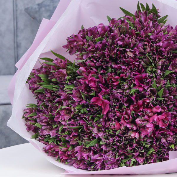 Perfect Purple Alstroemeria 4