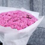 Pink Shades of Chrysanthemums (3)