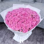 Pink Shades of Chrysanthemums (4)