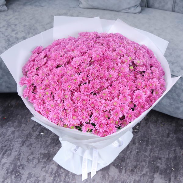 Pink Shades of Chrysanthemums 4