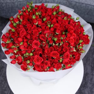 Ravishing Red Spray Rose
