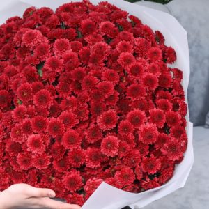 Retro Red Chrysanthemum