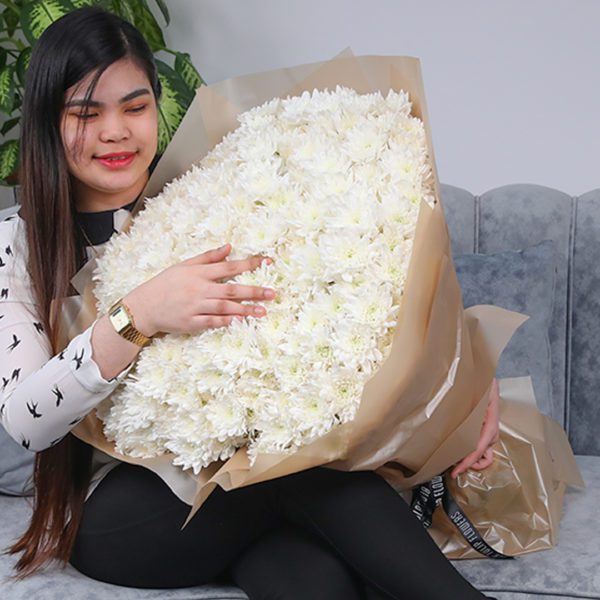 Whitening Beauty Chrysanthemum 1