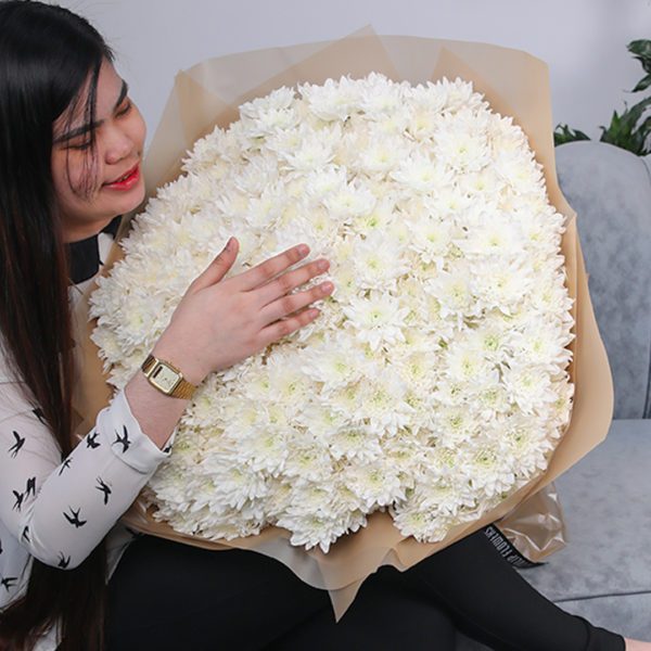 Whitening Beauty Chrysanthemum 3