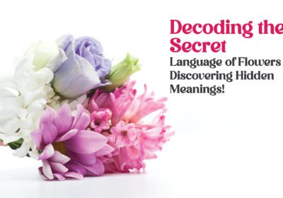Decoding the Secret Language of Flowers - Discovering Hidden Meanings! 13 blog Banners 02 02