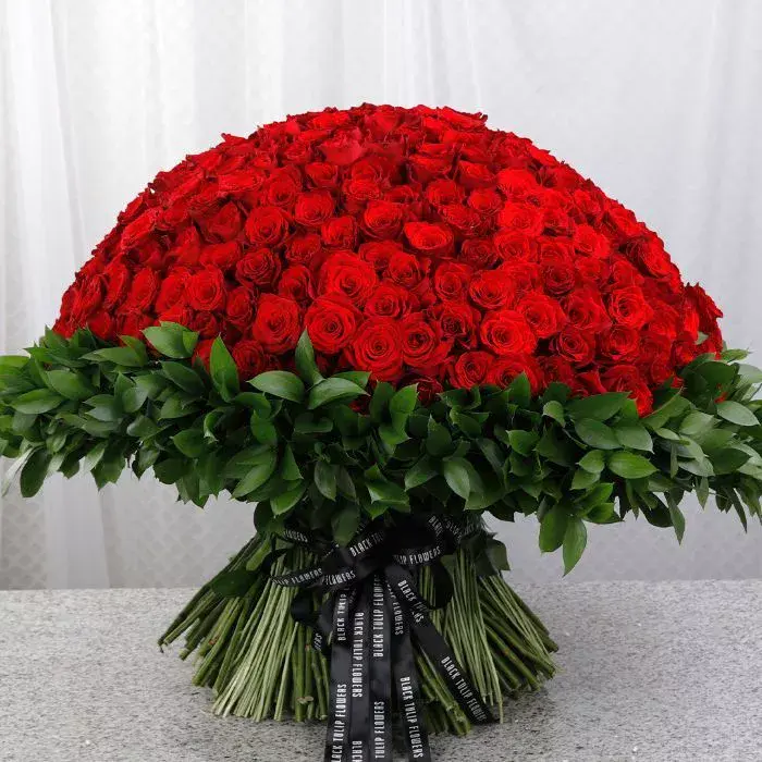 500 red roses for valentine s jpg