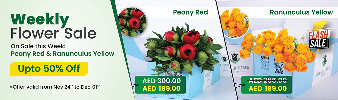 Flash Sale Banner 05