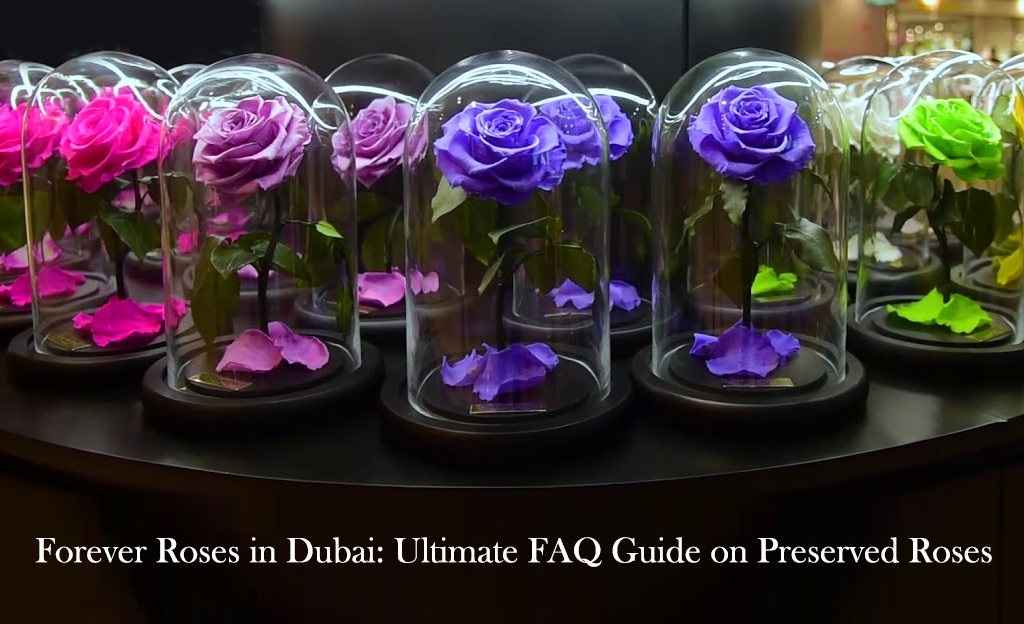 Forever Roses in Dubai Ultimate FAQ Guide on Preserved Roses