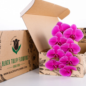 A brown cardboard box with the Black Tulip Flowers logo, open to reveal a beautiful arrangement of vibrant pink orchids.