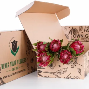 A brown cardboard box with the Black Tulip Flowers logo, open to reveal a beautiful arrangement of vibrant red Protea flowers.